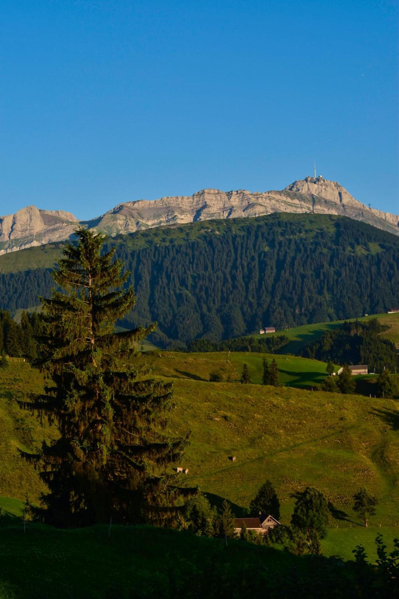 Ferienwohnung In Buehler Naehe Appenzell Buhler Exterior foto